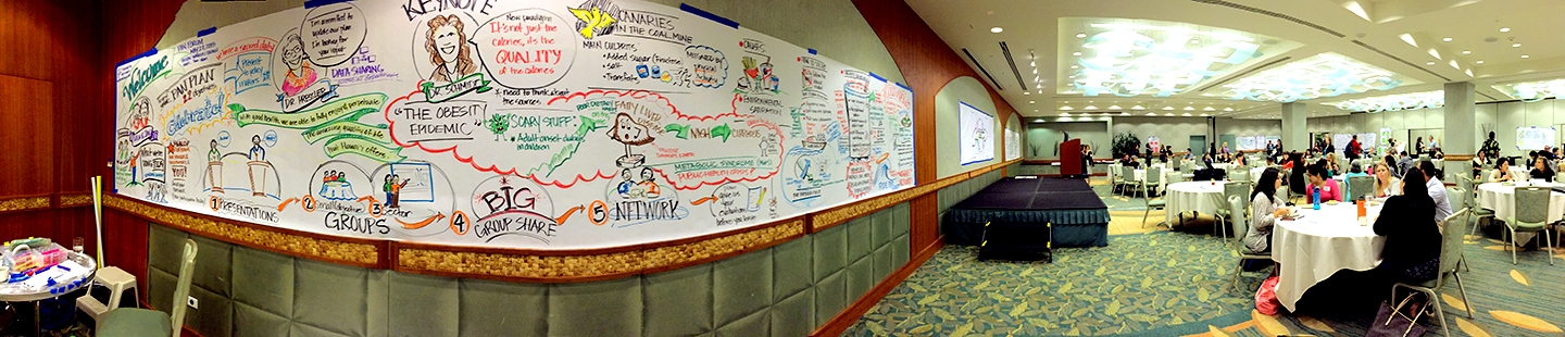 Meeting Design and Process Design using graphic recording, graphic facilitation and graphic templates for the Department of Health 2015 PAN Forum Conference, Honolulu Hawaii